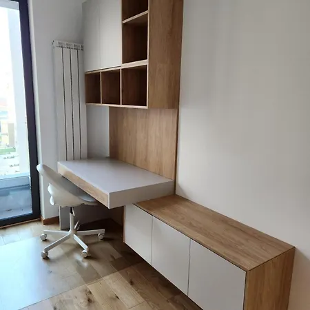 Apartment Novi Dorcol Big *