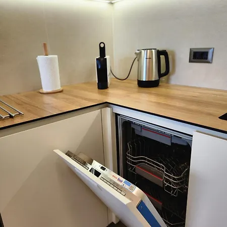 Apartment Novi Dorcol Big *