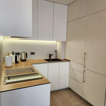 Apartment Novi Dorcol Big