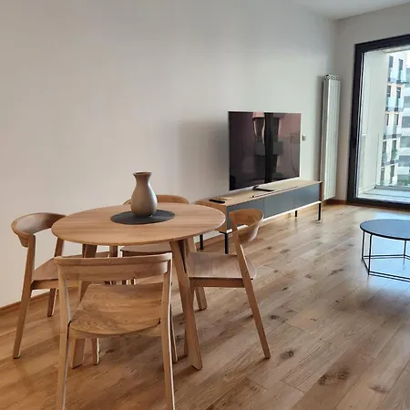 Novi Dorcol Big Apartment *