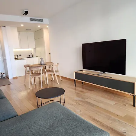 Apartment Novi Dorcol Big *