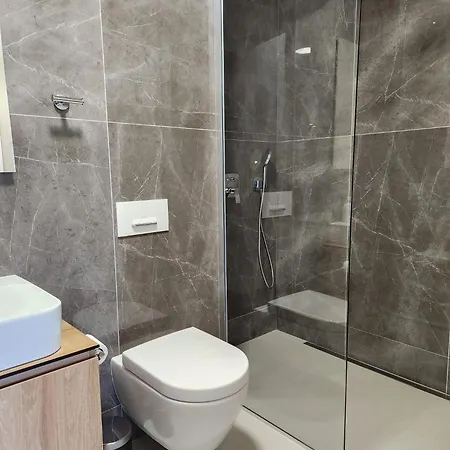 Novi Dorcol Big Apartment