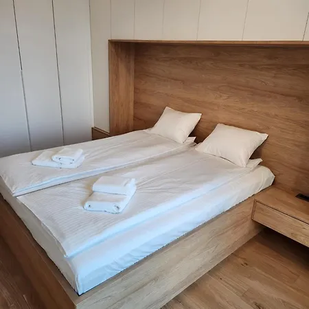 Novi Dorcol Big Apartment *