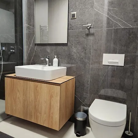 Apartment Novi Dorcol Big *