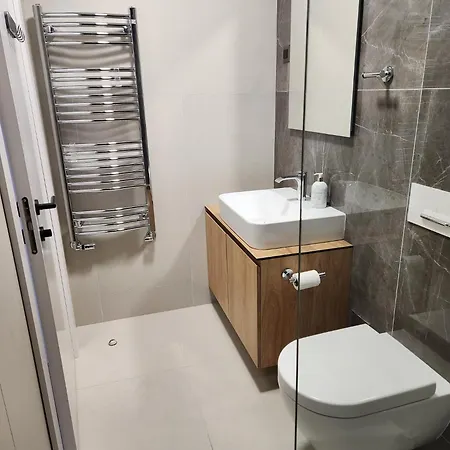 Apartment Novi Dorcol Big