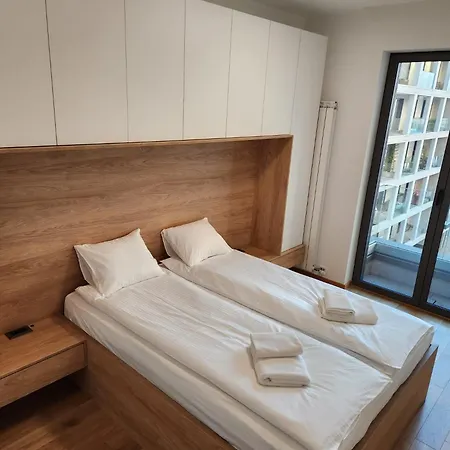 Apartment Novi Dorcol Big *