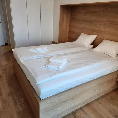 Novi Dorcol Big Apartament *